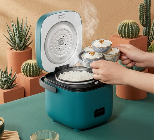 Steam Cooker